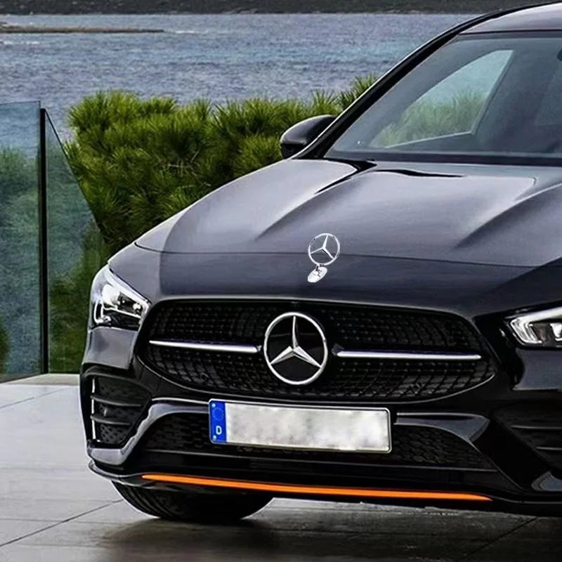 3D Car Front Hood Emblem